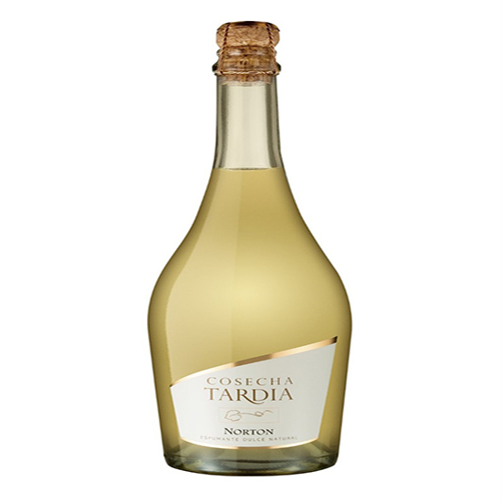NORTON CHAMPAGNE TARDIA BLANCO