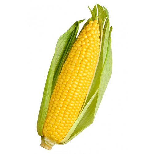 CHOCLO GRANO AMARILLO CUMANA 3 KG