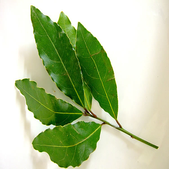 LAUREL EN HOJA 25 GR CUYAIRES