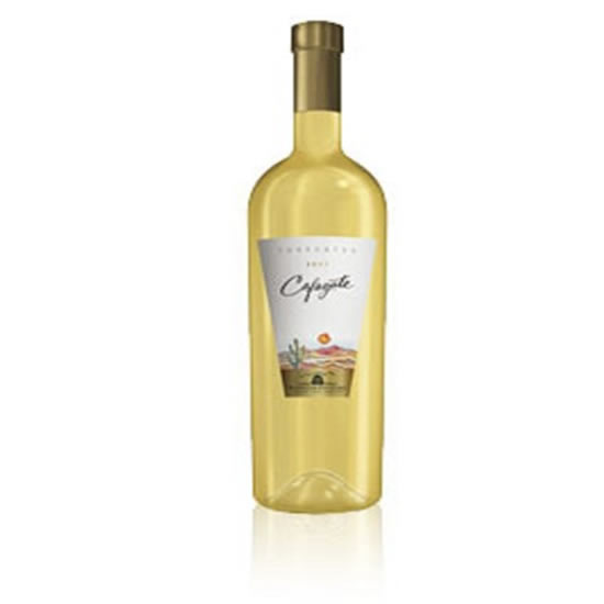 CAFAYATE TORRONTES